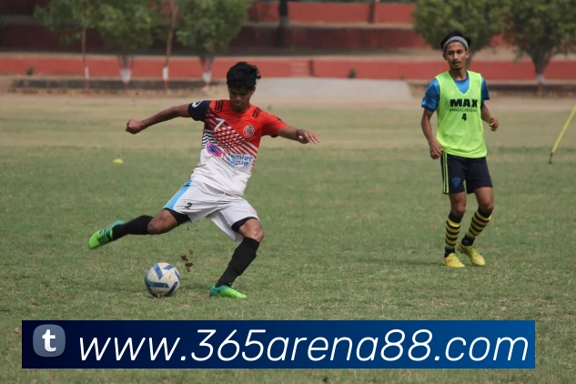 365体育平台生态图